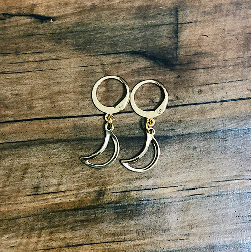Aretes Luna #2